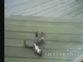 ��Ц����װ����ͬ�鲻֪����