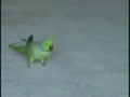 ��װ���ĳ�����С����
