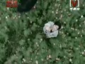 ������ - ������Ů