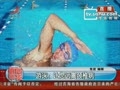��Ӿ�ɷ��κͼ�������׵����