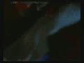 [Ԥ��Ƭ]����ӰԺ���ռ�������8��15�գ�