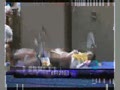 [Ԥ��Ƭ]����ӰԺ����ס���һ֧�裨8��29�գ�