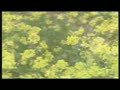 [愛我中華]：新縣革命紀念地