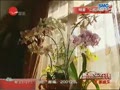 ���ǿ���Է� ����ɤ������������