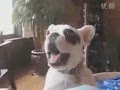 ��Ц�ᷢӤ�������Ĺ���