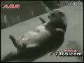 ��Ц��������ϼ�_��Ц��Ƶ