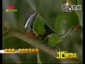 ȫ������д�� Ҧ˴�����ҵ�һ�����з