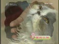 �����ɰ塷��֪��è