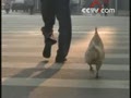�󹫼�����·