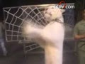 ѩ������