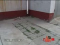 �ԹԿ���� ������