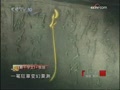 張旭與狂草