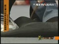 [��������]����ñ��Ӵ�������̥