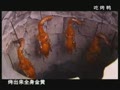 [��������]������ɫ��Ѽ