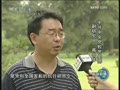 ���ھż����崨����ɫ���� ��ɫ����