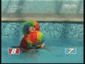��Ӣ�۳����꡷ˮ�ϼ��껪�����廪��ѧ������