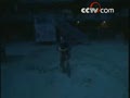 元华宝刀不老不用功夫也能吓跑人