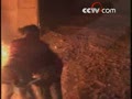 ���Ⱥ� ���� ����ݻ�����������