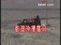 �۱���������ڡ�ɳĮ��Ħ����������