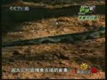 ��ϣ��Ӣ��������������صľ���(��)