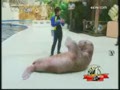 [״Ԫ360]���������� �¼�(2009.04.18)