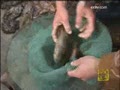 [�߱��й�]ȥ�ٳ��̺���(2009.6.24)