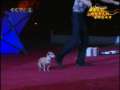 �Ӽ������ֵ��������ݣ�����˹̹-��������-˹�����η�
