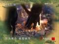 [�ټҽ�̳]���̽��(2)���߽���(2009.05.12)