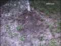 120������ص绰